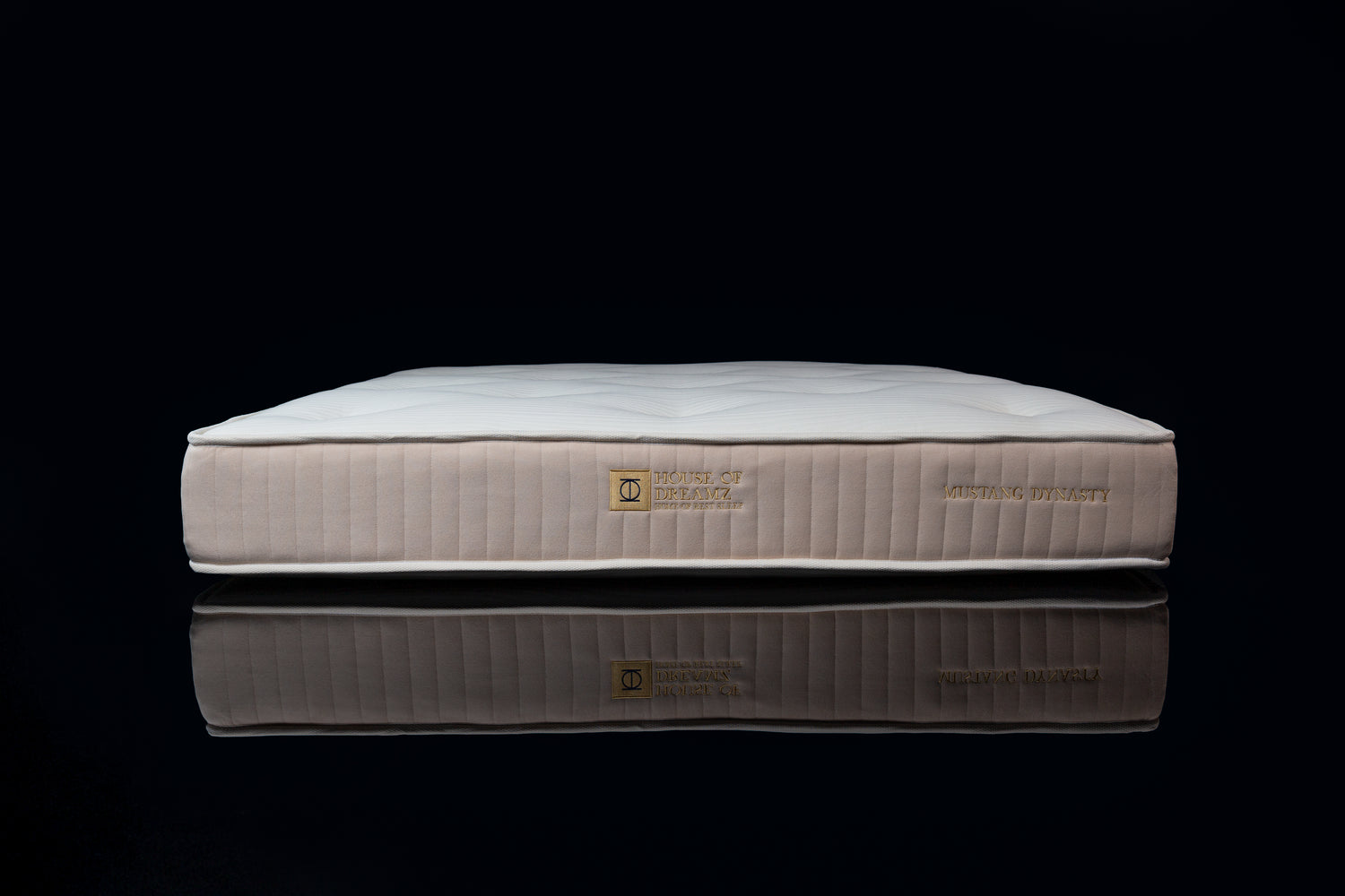 Not for everyone - MUSTANG DYNASTY